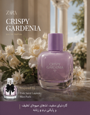 عطر زنانه Zara مدل Crispy Gardenia با رایحه گل گاردنیا، مشک و وانیل ملایم مناسب استایل روزمره و زنانه